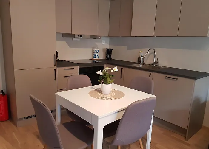 Demims -- 15mins From Oslo Centre Appartamento *