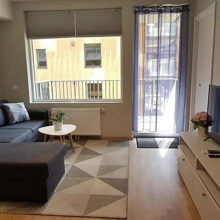 Demims -- 15mins From Oslo Centre 罗伦斯固克