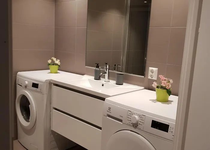 公寓 Demims -- 15mins From Oslo Centre *