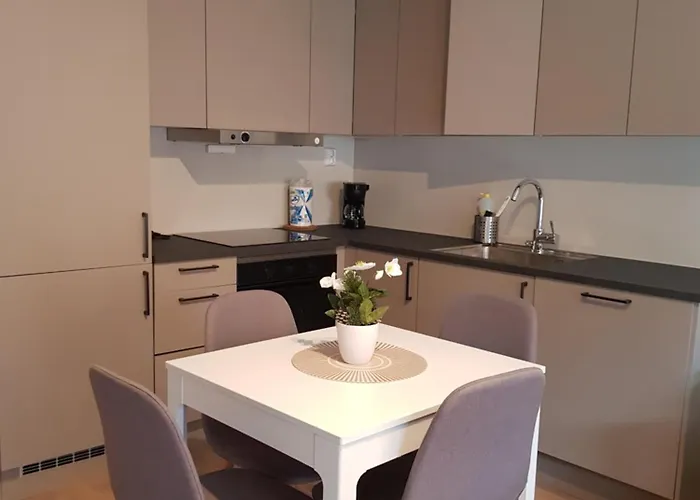 公寓 Demims -- 15mins From Oslo Centre *